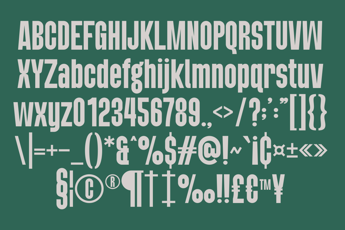 Boruino - Modern Condesed Font, a Sans Serif Font by MaikoHatta (Photo 7 of 9)