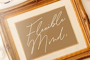 Antonio Fischer - Monoline Font, a Script Font by Balpirick Studio (Thumbnail 3 of 7)