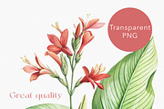 Tropical rainforest clip art set, a Seasonal Illustration by FleurArt (Thumbnail 11 of 12)