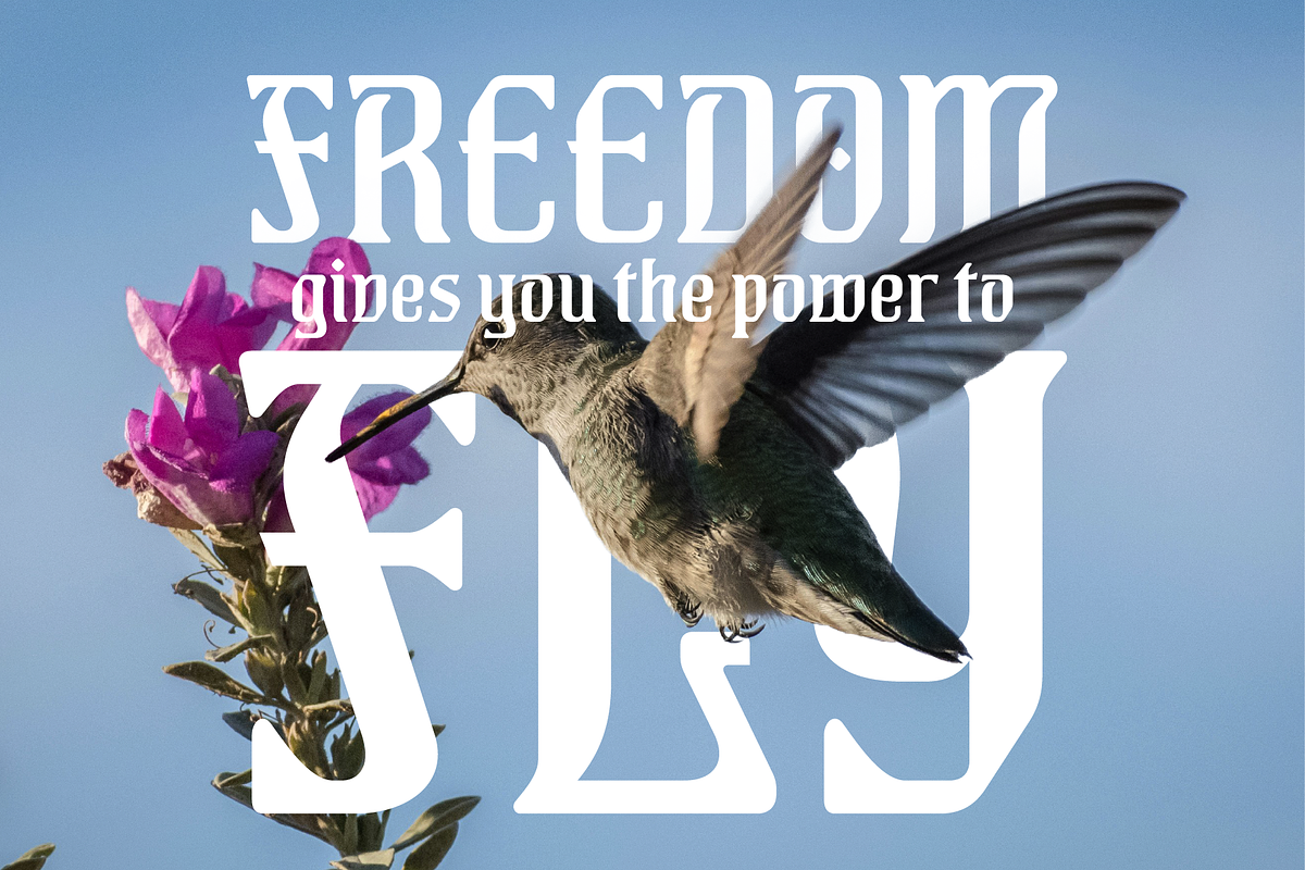 Vienna Bloom Art Nouveau Font, a Serif Font by FontDuo (Photo 7 of 8)