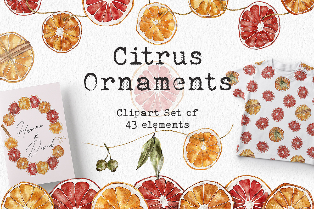 Watercolor Citrus Ornaments Clipart, an Illustration by lilisprints (Photo 1 of 7)