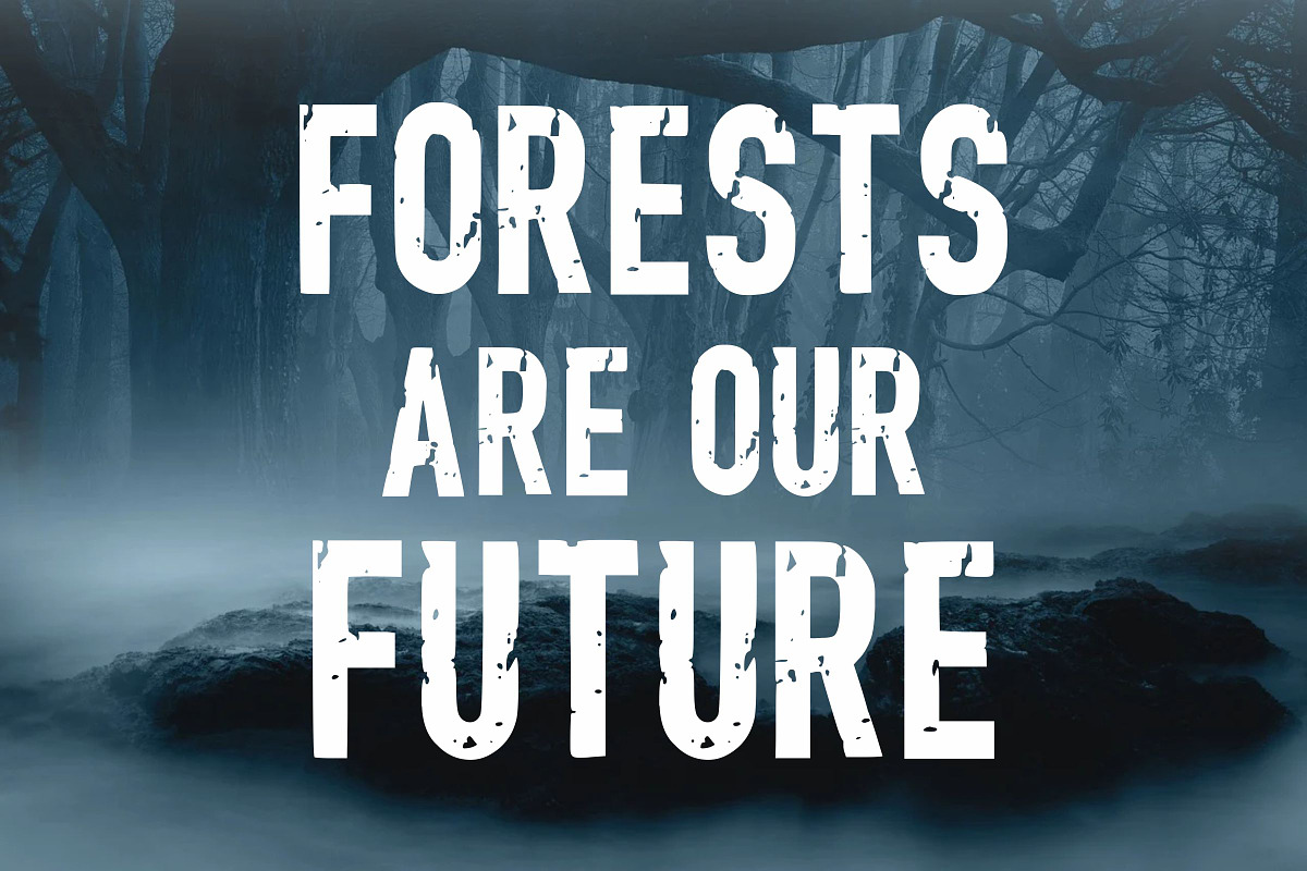 The Forest Hunter, a Font by Limited.studio (Photo 4 of 7)