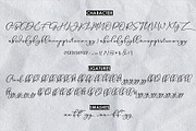 Animal Script, a Script Font by Moly Mol (Thumbnail 10 of 11)
