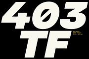 403 Glach Sans, a Sans Serif Font by 403 Type Foundry (Thumbnail 6 of 15)