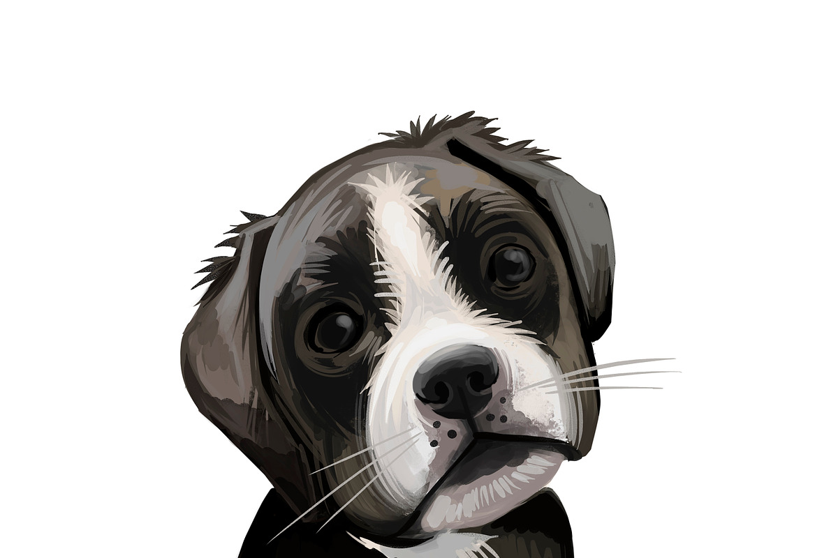 Puppies Dog Breeds Vol. 1; 1 to 30, an Animal Illustration by Dneprstock (Photo 4 of 8)