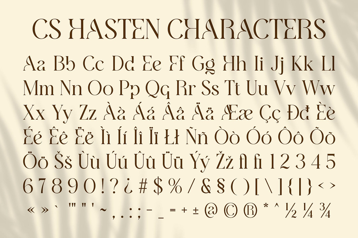 CS Hasten – Elegant Font, a Serif Font by Craft Supply Co. (Photo 8 of 8)