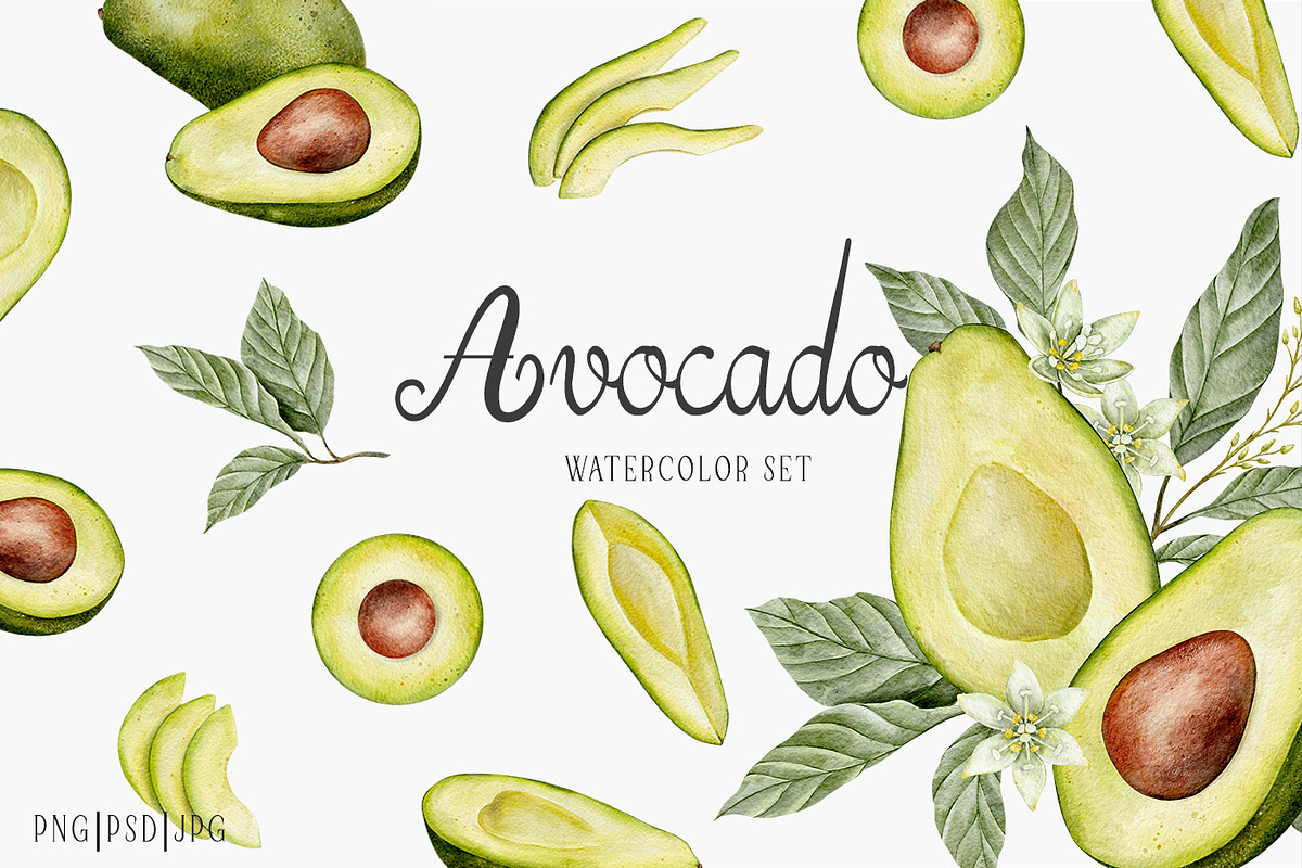 Avocado watercolor set, a Food Illustration by Daryartsy (Photo 1 of 5)