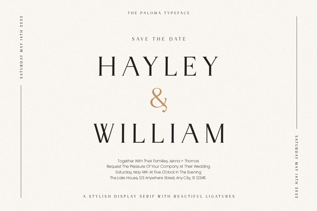 The Paloma - Modern Serif Font, a Serif Font by TypeFounder (Photo 6 of 10)