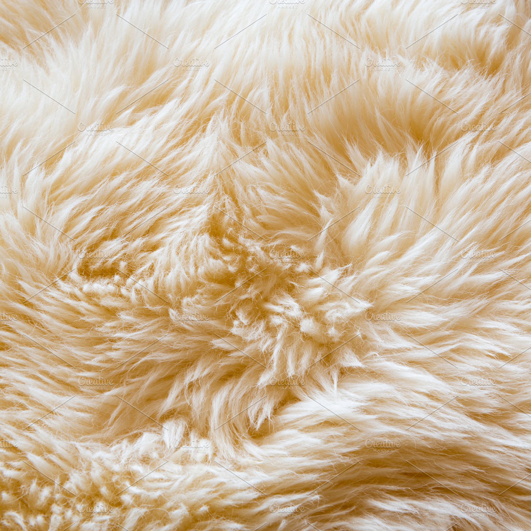 Wool Background Texture, a Background Photo by THP Creative