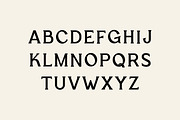 Retro Groove Retro Serif Font, a Serif Font by UICreative (Thumbnail 6 of 13)