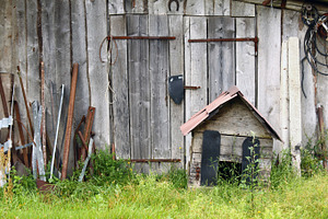 Abandoned farm, an Architecture Photo by BOOCYS