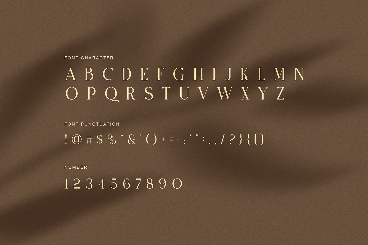 Caner Elegant Ligature Serif Font, a Serif Font by Perfectype (Photo 7 of 8)