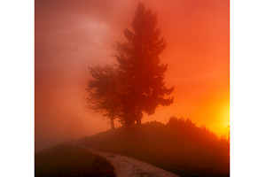 Beautiful autumn landscape with, a Nature Photo by Nature and travel