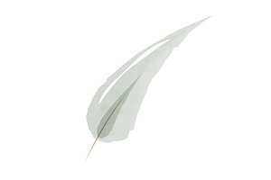 Elegant watercolor single leaf, an Illustration by okskukuruza