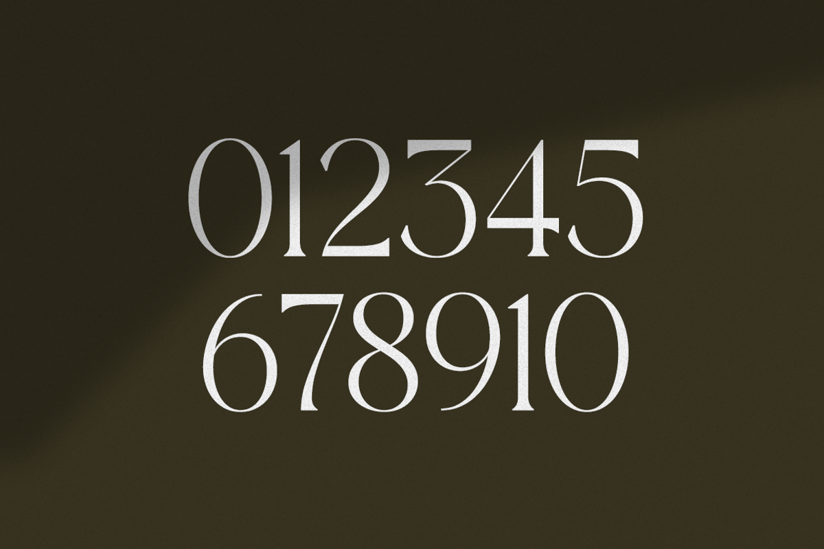 Versine Swoosh, a Serif Font by RockboyStd (Photo 9 of 12)