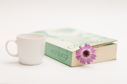 Flower And Book 7 Stock Photograph preview 4