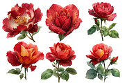 Valentines Rose Clipart, an Illustration by Designworld (Thumbnail 3 of 5)