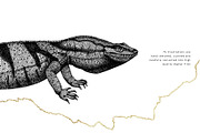 BUNDLE. Tropical Plants & Animals, an Object Graphic by Yevheniia (Thumbnail 2 of 8)