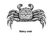 Seafood collection_part 1, a Food Illustration by ZotovShop (Thumbnail 10 of 11)