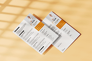Clean Resume Layout, a Resume Template by Seeing-art (Thumbnail 3 of 3)