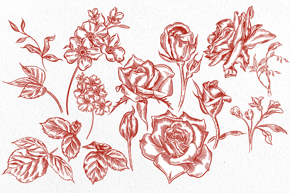 Graphic TERRACOTA Wedding Collection, an Object Graphic by Knopazyzy (Photo 12 of 14)