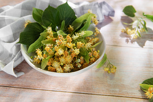 Linden blossoms for natural herbal wellness tea, a Nature Photo by Olena Rudo