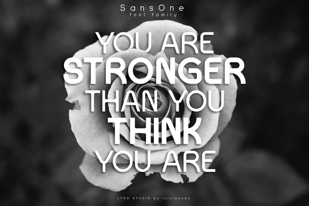 SansOne Font Family preview 2