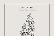 Poisonous Plant Vector Illustrations, an Object Graphic by Yevheniia (Thumbnail 7 of 11)