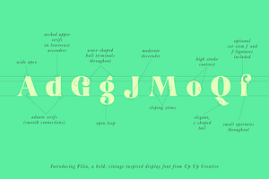 Filia Display Font