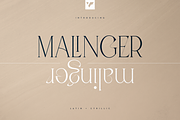 Malinger - Elegant Serif Font, a Serif Font by VP Fonts (Thumbnail 1 of 20)