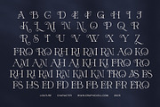 Astro Modern Serif Font, a Serif Font by Elegant Font (Thumbnail 7 of 7)