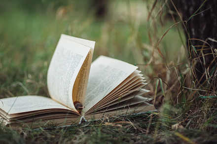 The old book lies on the grass in th featuring book, old, and selective focus, a School & Education Photo by PavelKant