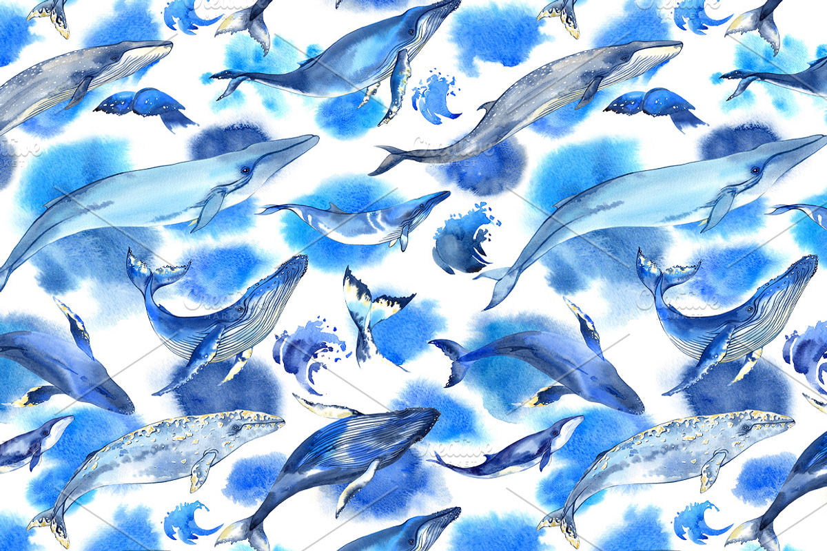 Watercolor whales, an Animal Illustration by Evgeniia Zagreeva (Photo 5 of 5)
