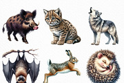 Forest Animals Watercolor Clipart, an Illustration by Craft Nest (Thumbnail 5 of 6)