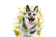 Watercolor Dogs Mega Big Bundle, an Illustration by Dneprstock (Thumbnail 24 of 60)