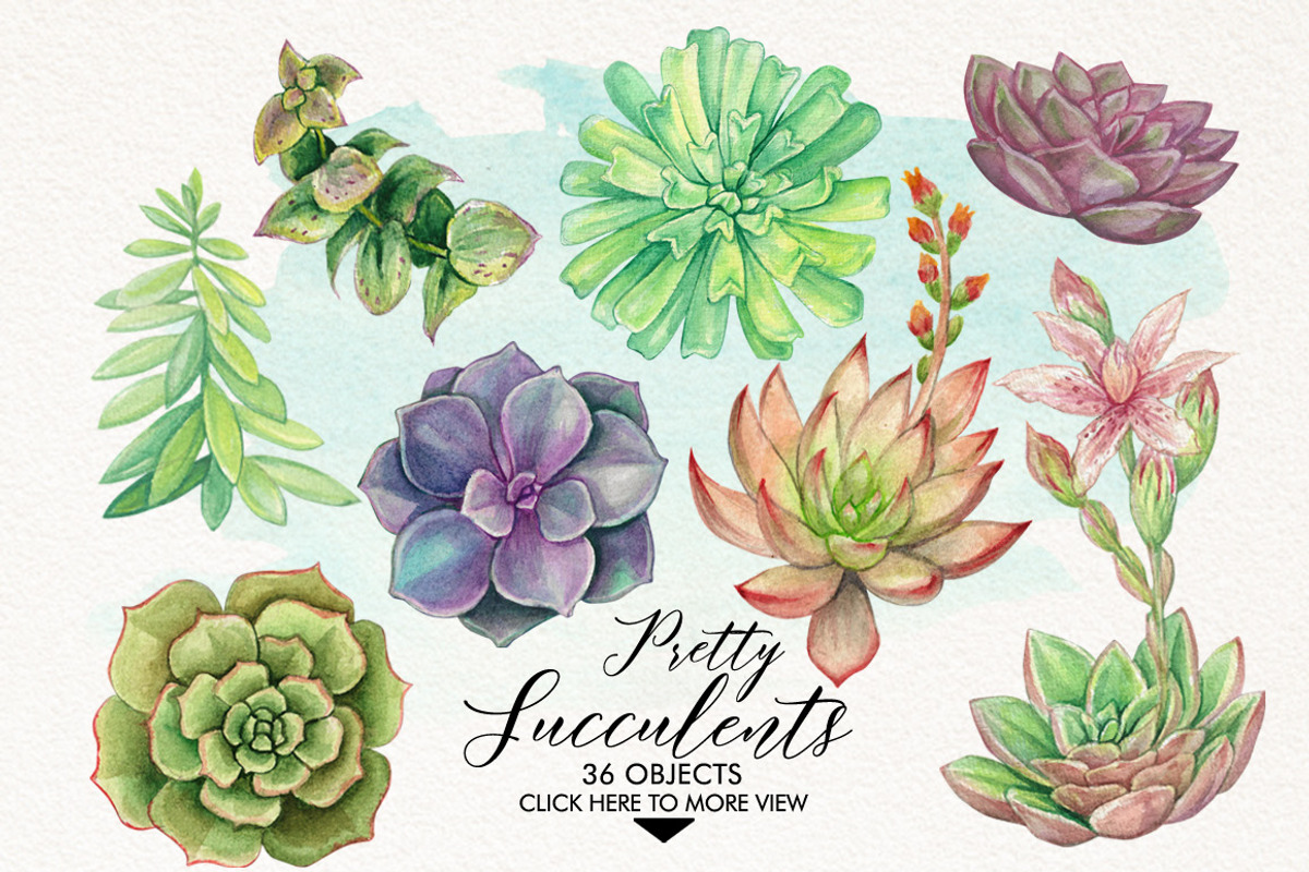 Watercolor Pretty Succulents, an Illustration by Graphobia (Photo 2 of 10)