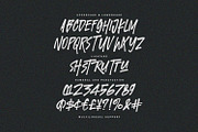 Twicked Panther Dynamic Handpainted, a Handwritten Font by Maulana Creative (Thumbnail 4 of 7)