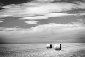 Hay Bales Black and White, a Nature Photo by THP Creative