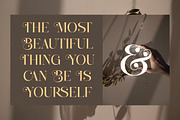 Daisihill - Elegant Luxury Serif, a Serif Font by Shakira Studio (Thumbnail 6 of 10)