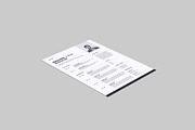 Resume - Curriculum Vitae Mockup, an Advertising Mockup by Illusiongraphic (Thumbnail 9 of 22)
