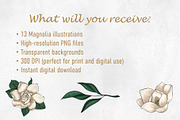 13 Magnolia PNG Clipart – Gouache, a Decorative Illustration by Ink by Stefi (Thumbnail 2 of 4)