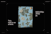 Plants & Flowers Illustrations, a Background Graphic by Nomad Visuals (Thumbnail 14 of 14)