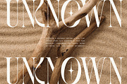 SLTF BOXROOM - Modern Serif Typeface, a Serif Font by SilverStag Type Foundry (Thumbnail 8 of 30)
