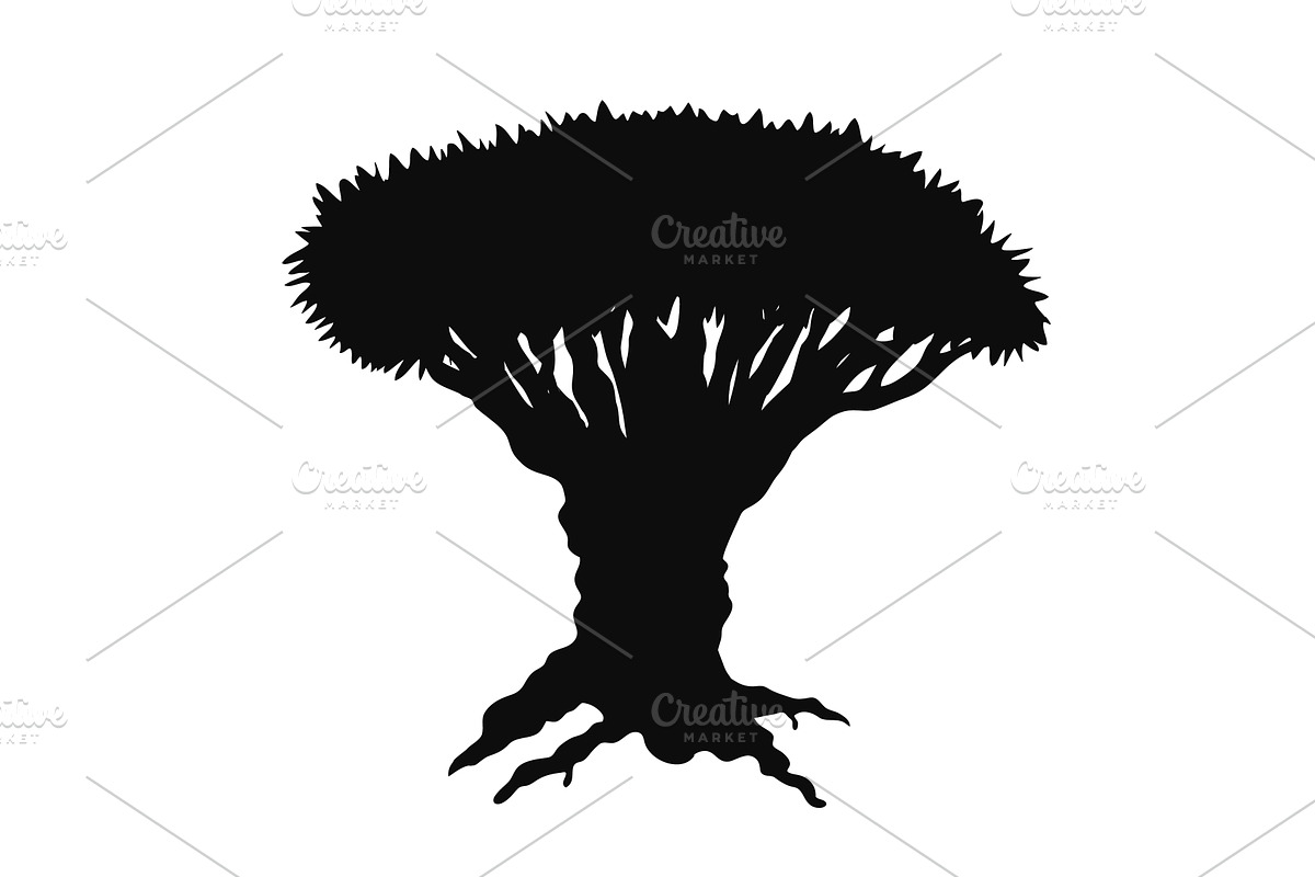 Dragon blood tree silhouette, an Object Illustration by Toltemara