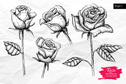 Hand Drawn Roses. Vintage set., a Graphic by Epine (Thumbnail 2 of 3)