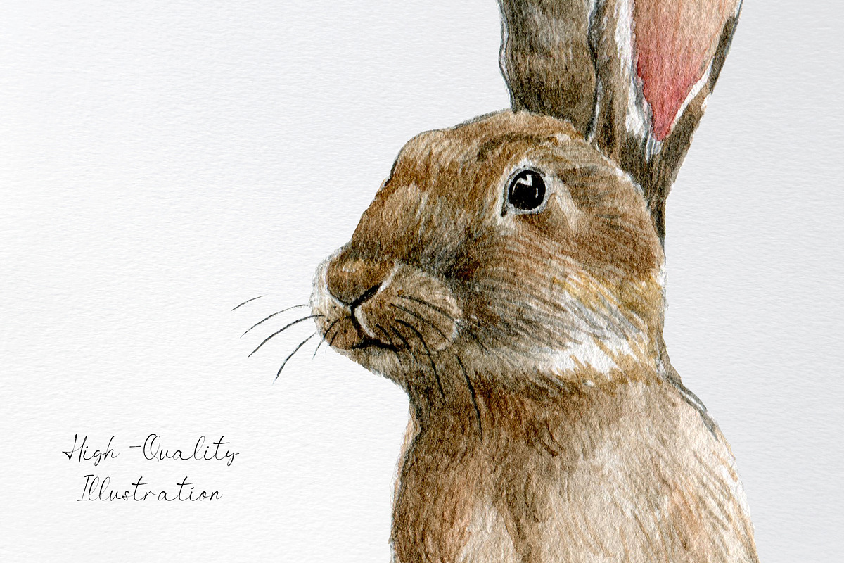 Watercolor brown rabbit clipart set, an Animal Illustration by yana.fefelova (Photo 3 of 4)