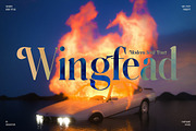 Wingfead Modern Serif Font, a Serif Font by Storytype Studio (Thumbnail 5 of 15)