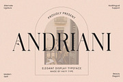 Andriani, a Serif Font by HATFSTUDIO (Thumbnail 1 of 9)