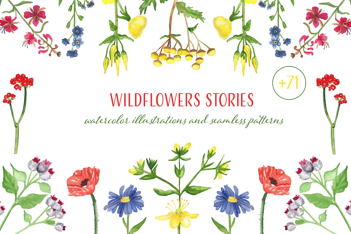 Wildflowers stories, an Illustration by Visual Animal (Photo 1 of 7)