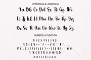 Handheld | Script Font, a Script Font by Scratchones (Thumbnail 3 of 8)